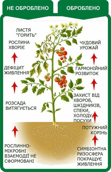 Стимулятор росту для насіння і саджанців Вимпел-2, 10 мл 115583 фото
