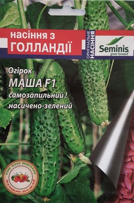 Огірок Маша F1 (Seminis), 10 насінин 114756 фото