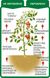 Стимулятор росту для насіння і саджанців Вимпел-2, 30 мл 115584 фото 2